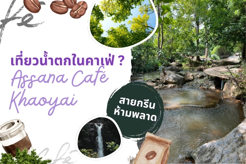 เที่ยวน้ำตกในคาเฟ่ ? ที่ Assana Café Khaoyai สายกรีนต้องห้ามพลาด