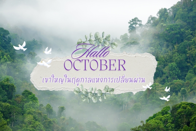 Hello October: เขาใหญ่ในฤดูกาลแห่งการเปลี่ยนผ่าน