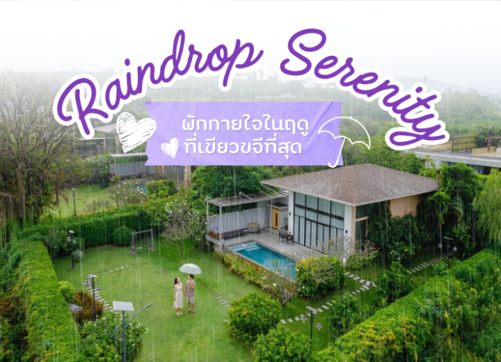 Raindrop Serenity: พักกายใจในฤดูที่เขียวขจีที่สุด