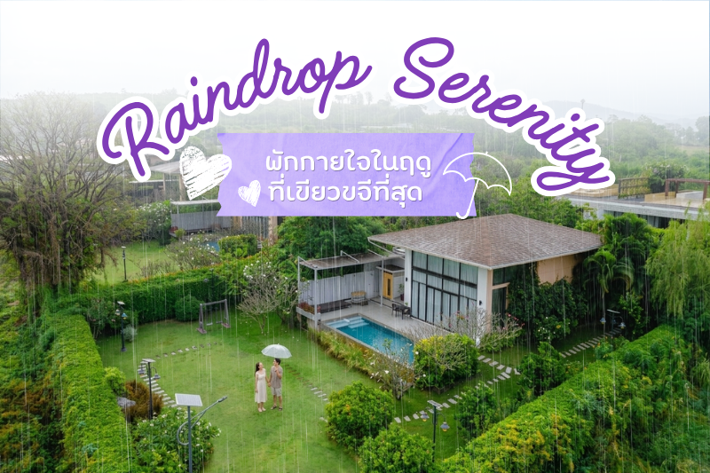 Raindrop Serenity: พักกายใจในฤดูที่เขียวขจีที่สุด